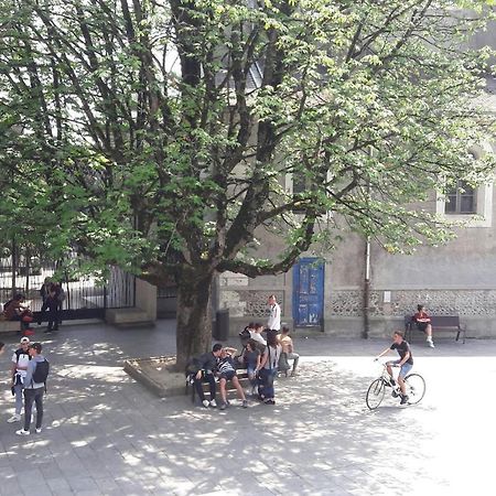 Un Appartement Lumineux Au Parc Beaumont Pau Dış mekan fotoğraf